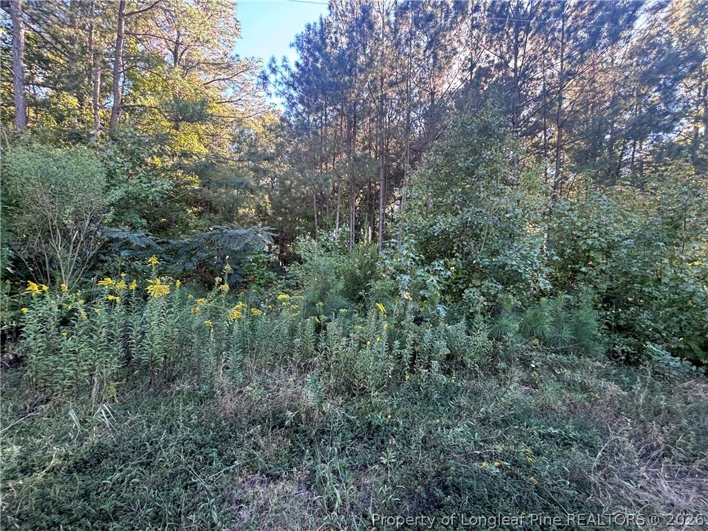 Picture 17