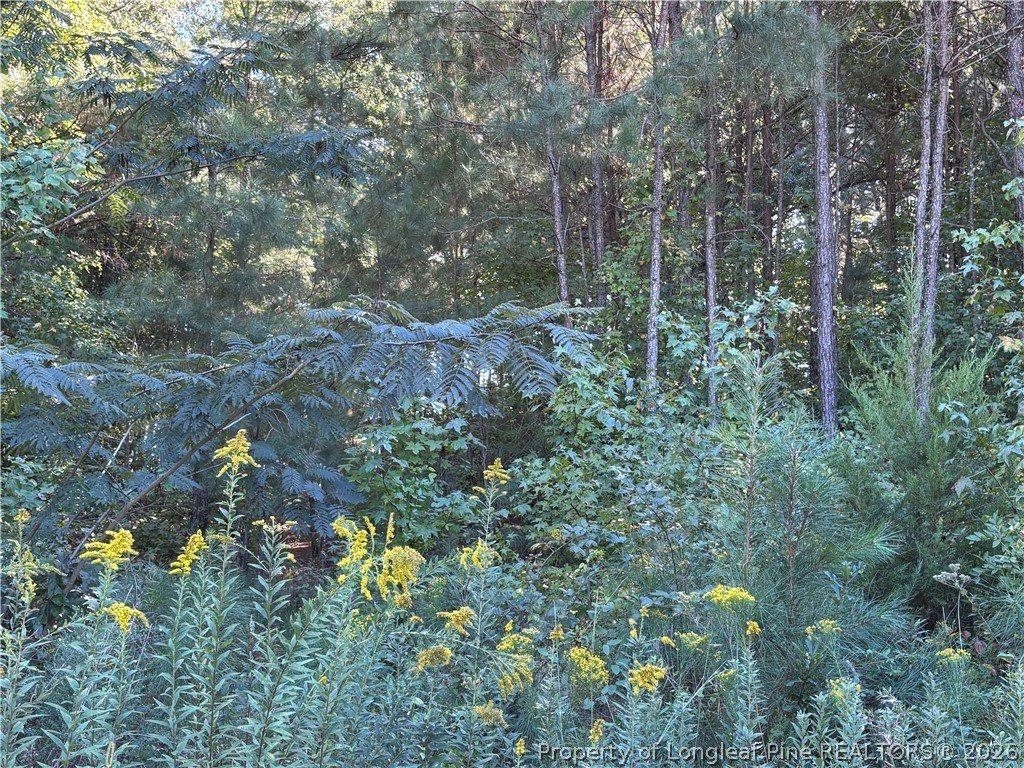 Picture 19