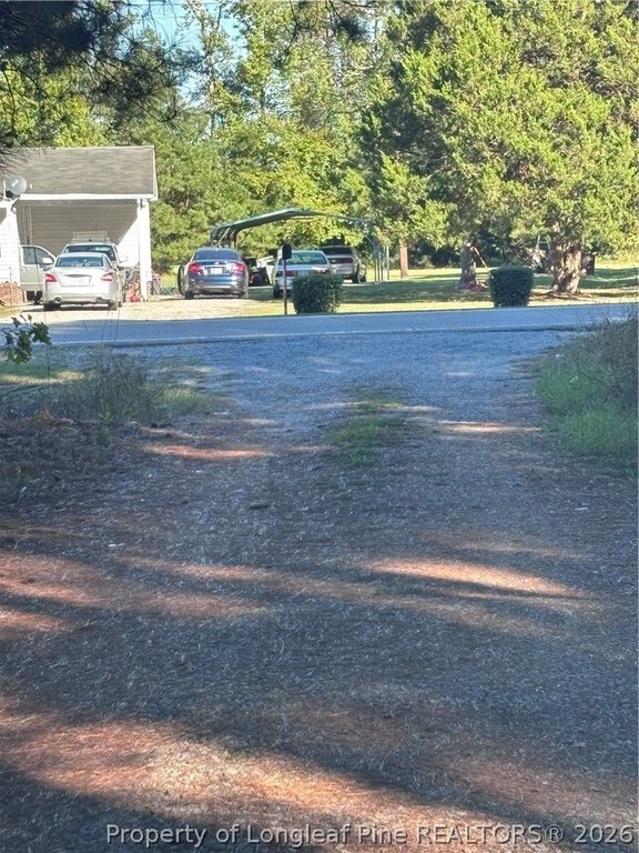 Picture 4