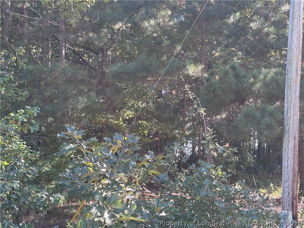 Picture 12