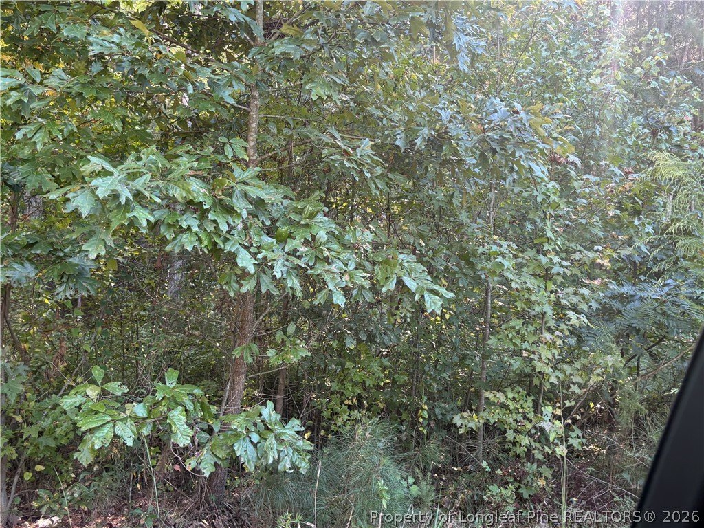 Picture 7