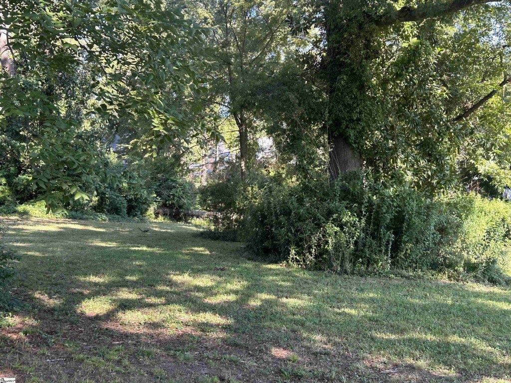 Picture 22