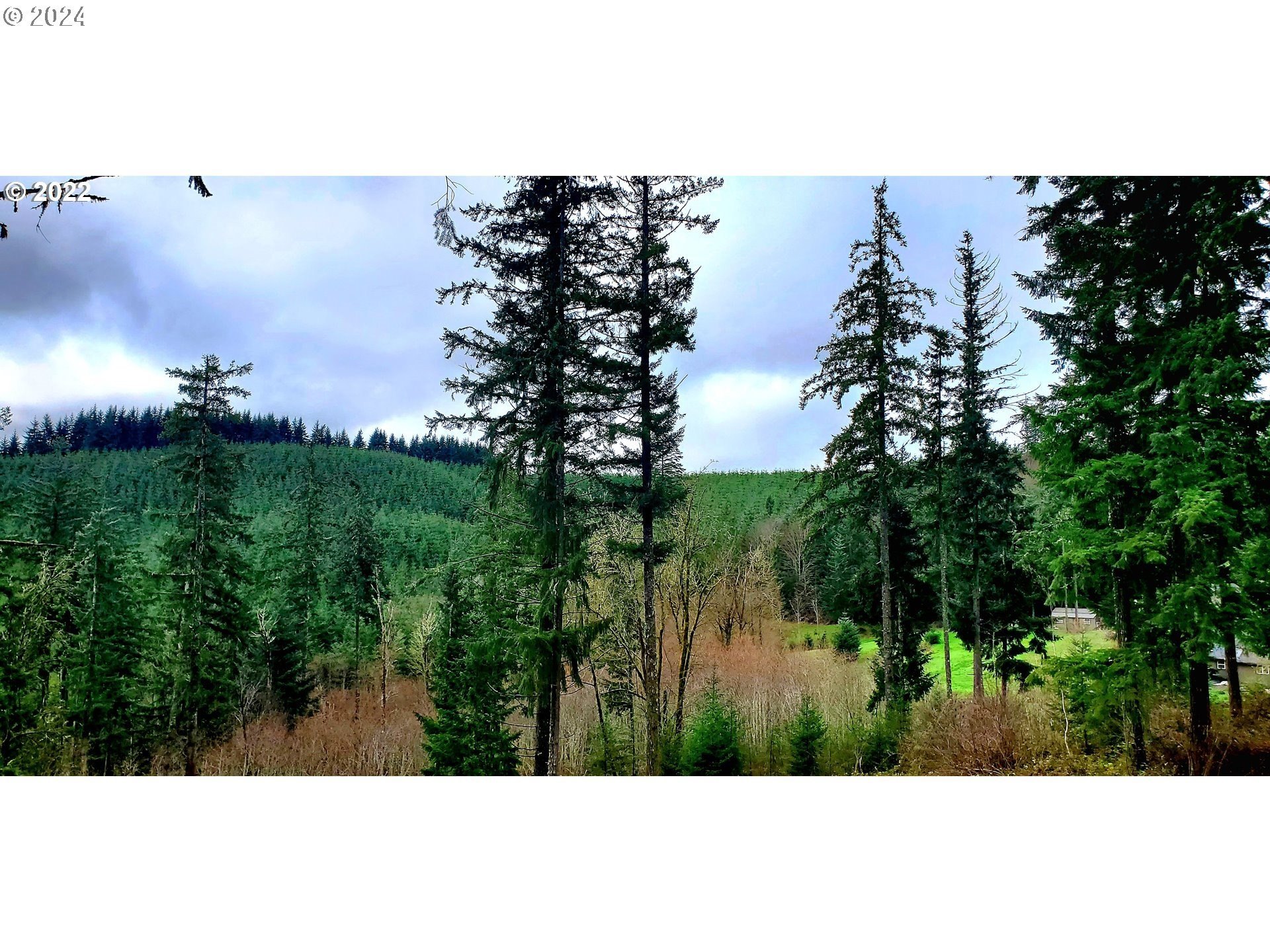 Warren, OR: 4.67 Acre Lot