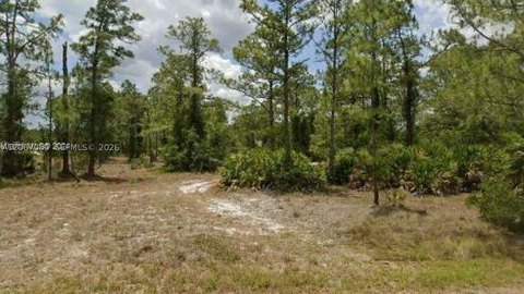 Land, Lehigh Acres, FL