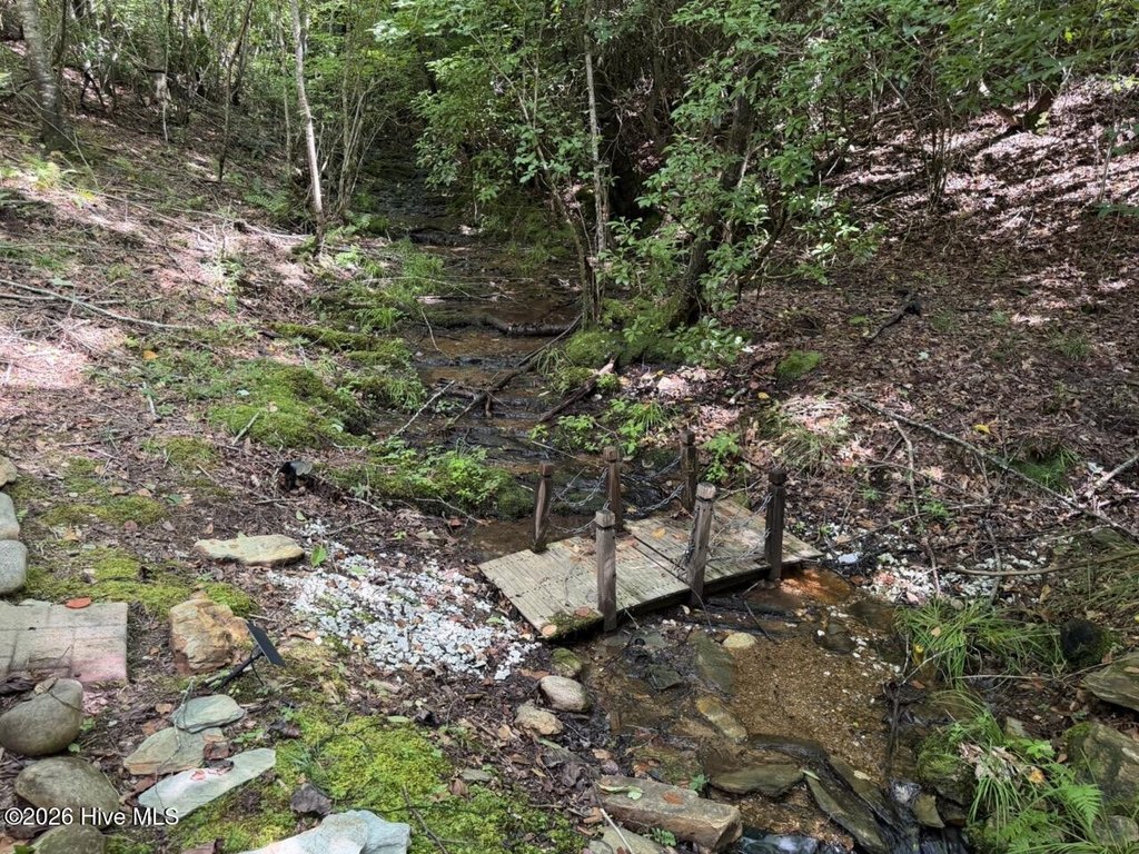 Picture 24