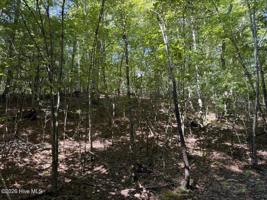 Picture 33
