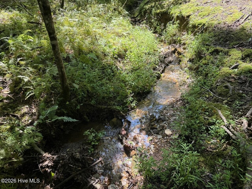 Picture 22