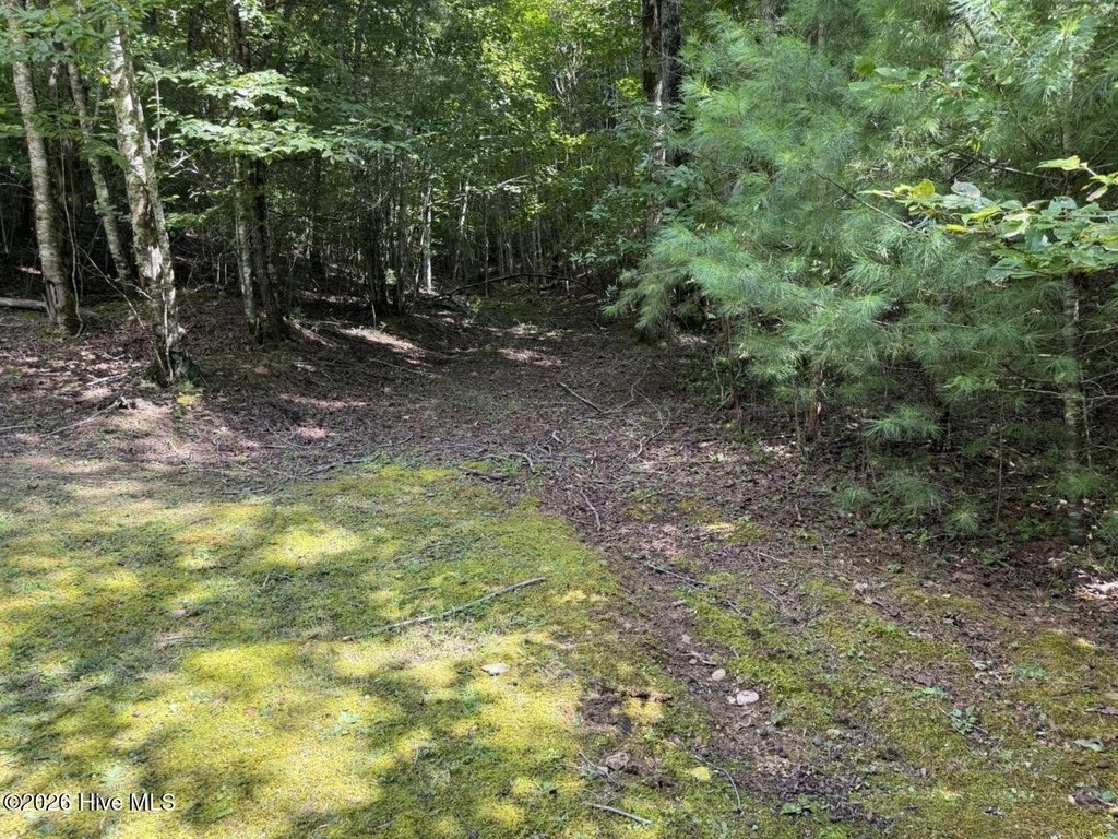 Picture 15