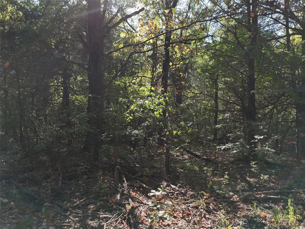 Picture 10