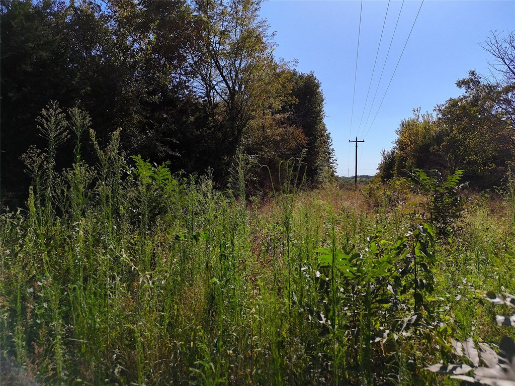 Picture 9