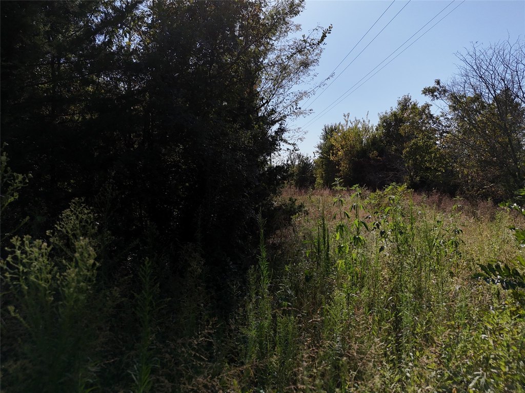 Picture 14