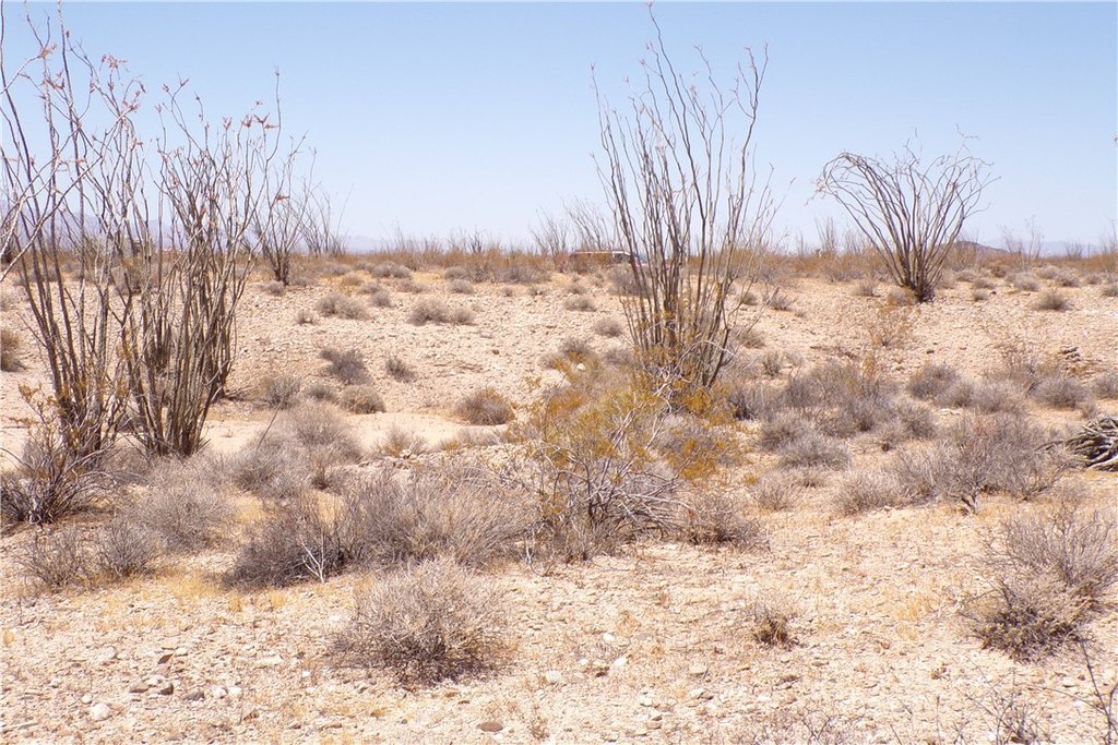 Picture 13