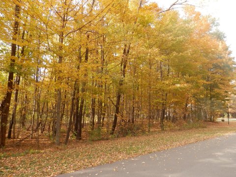 Residential Lot in Deerwood Estates