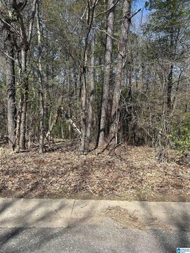 Residential Land in Established Neighborhood