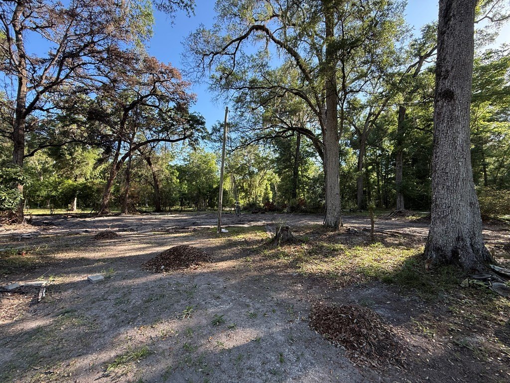Picture 5