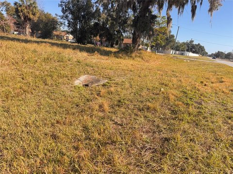 LAND - WEBSTER, FL