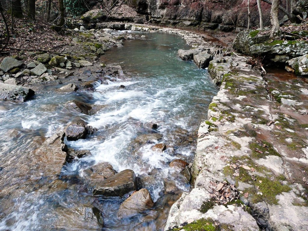 Picture 61