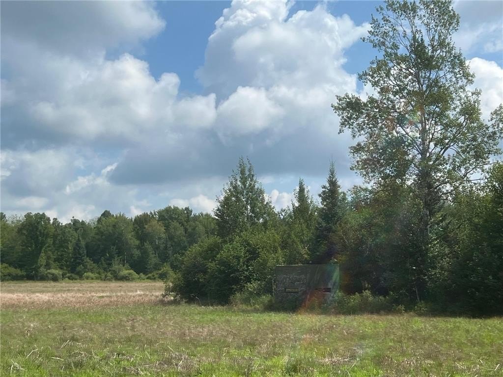 Picture 24