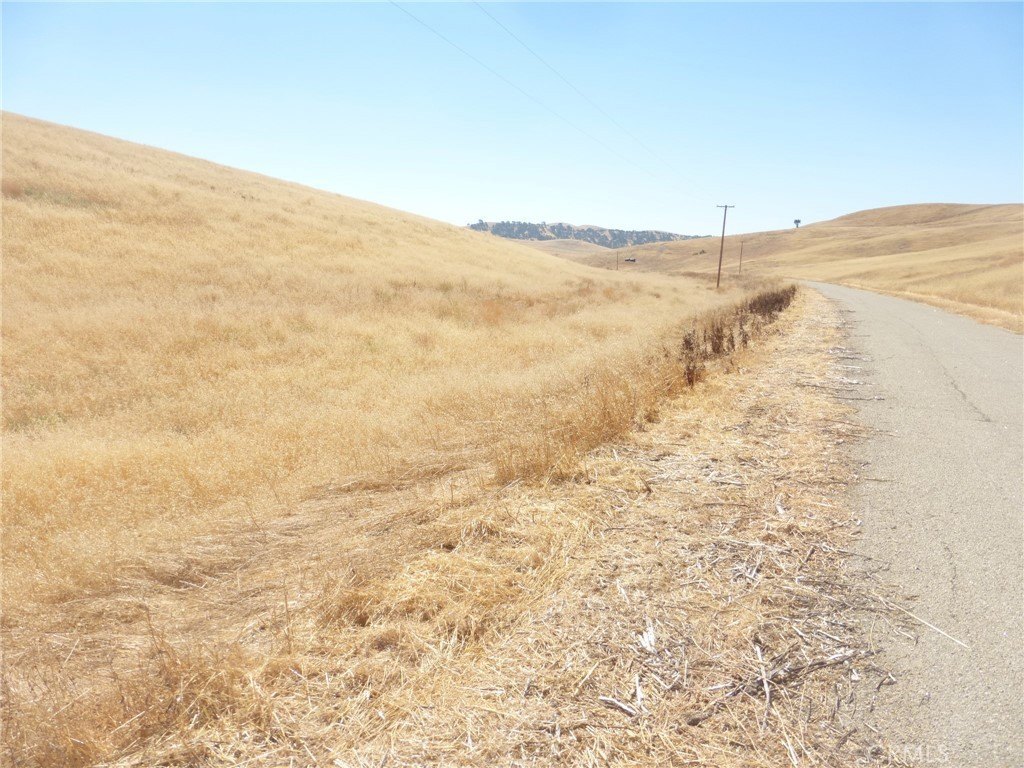 Picture 54