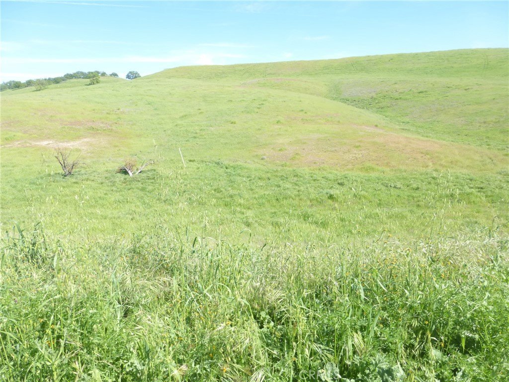 Picture 27