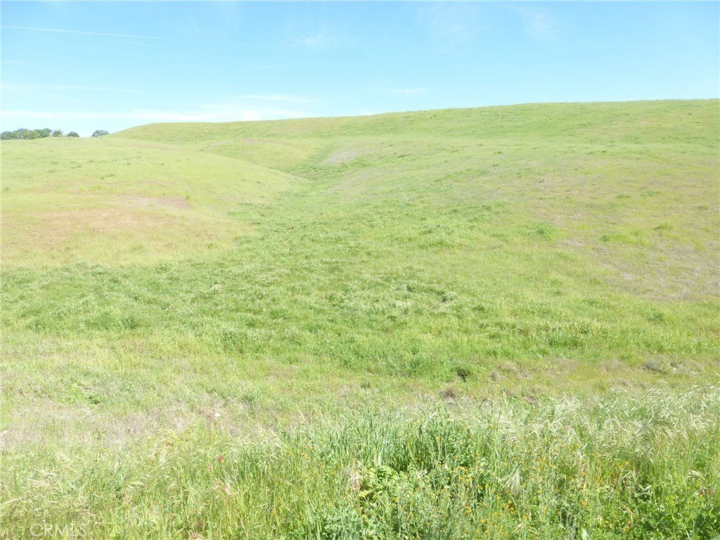 Picture 23