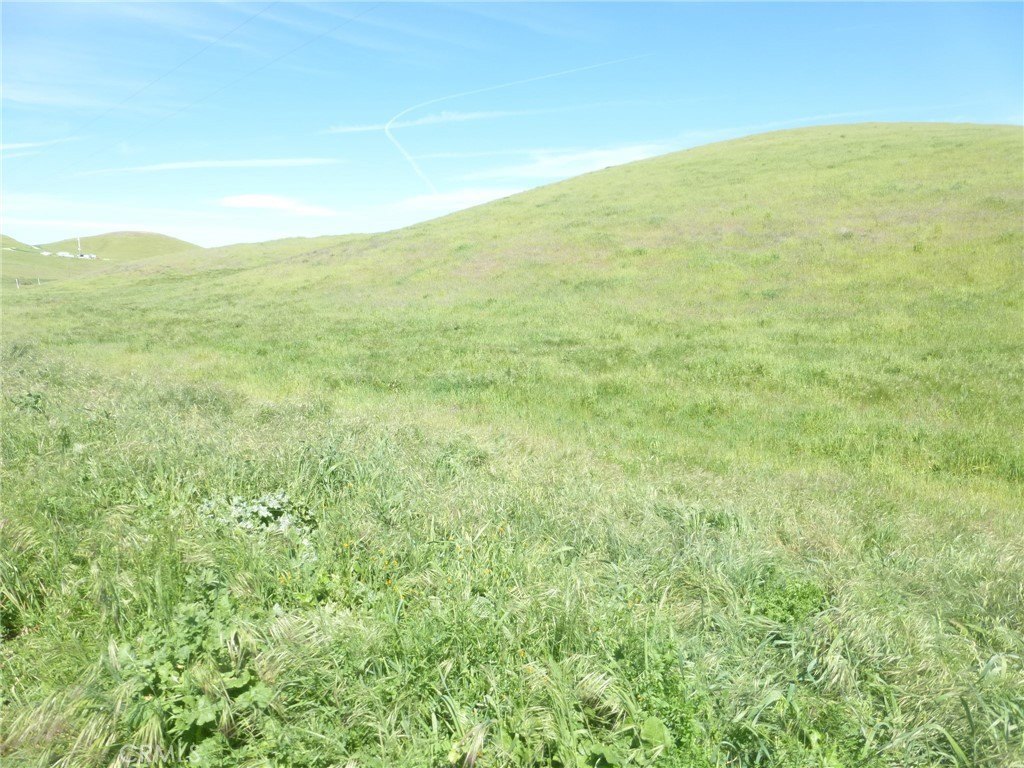 Picture 35