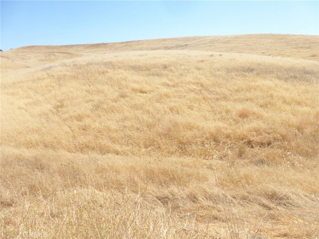 Picture 48
