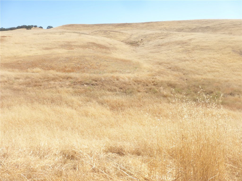 Picture 46
