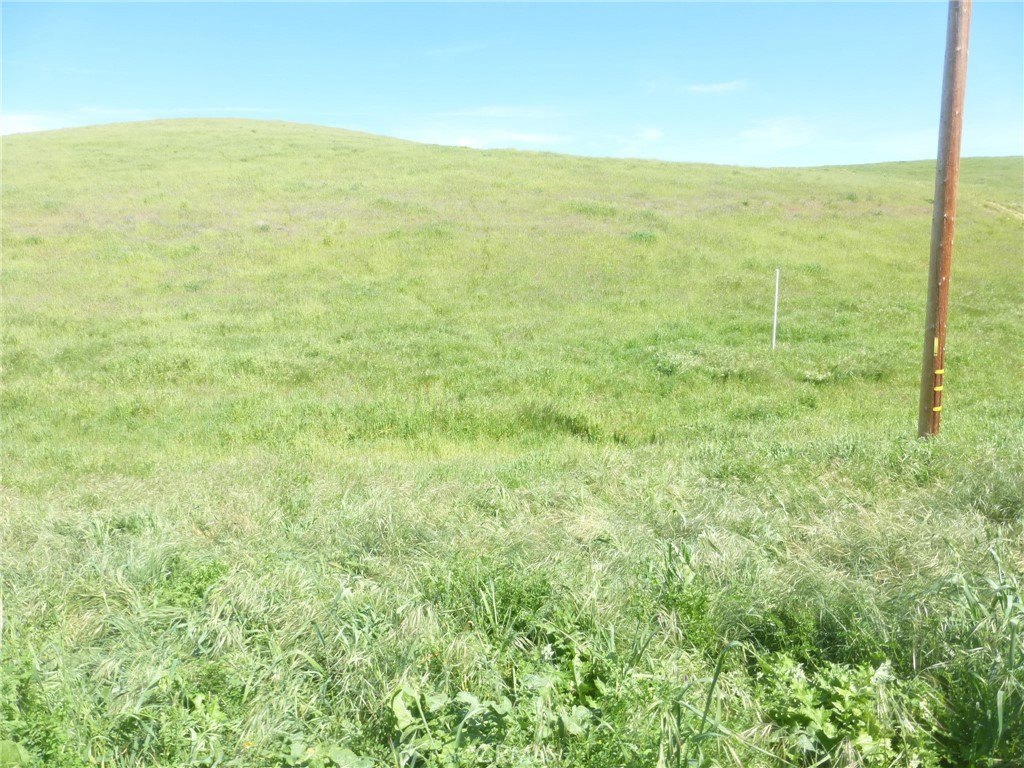 Picture 34