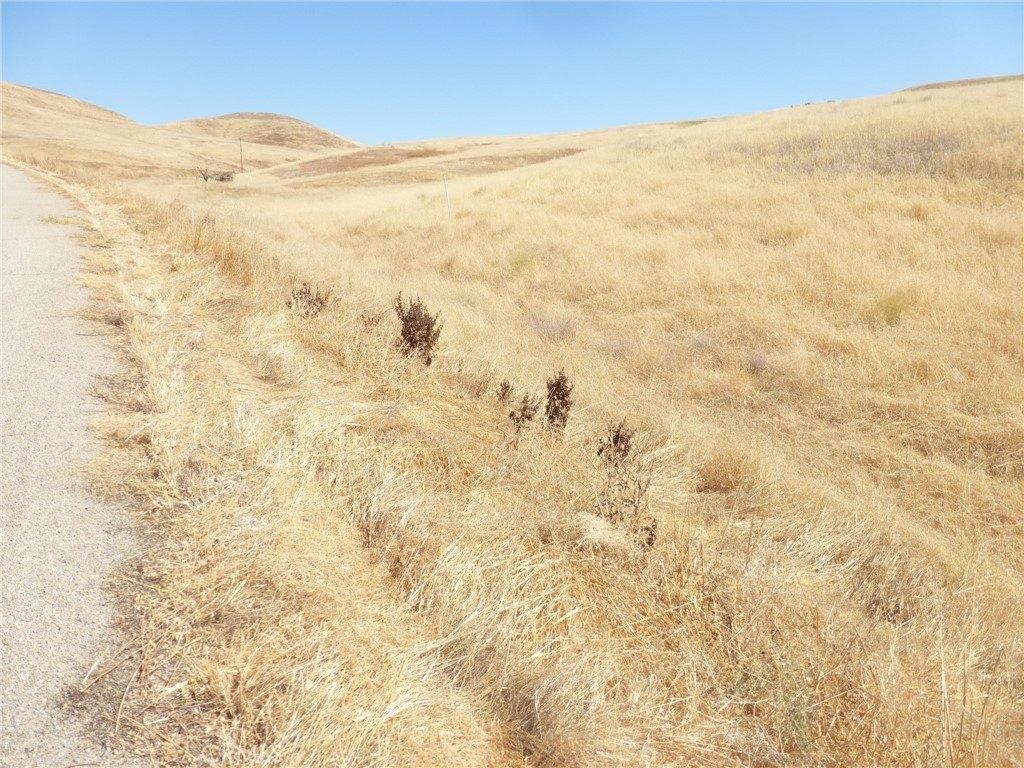 Picture 66