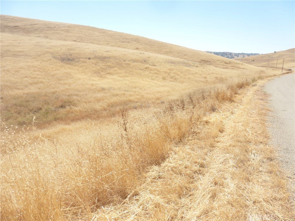 Picture 39