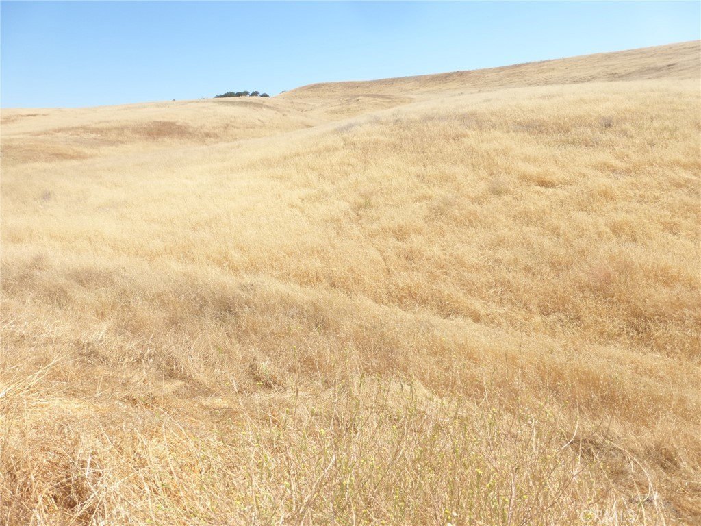 Picture 49