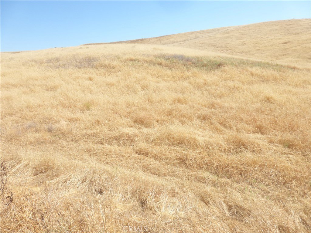 Picture 67