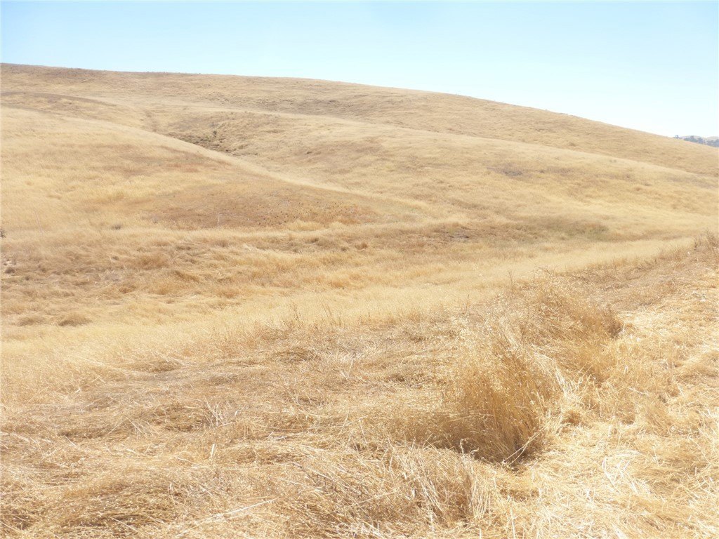 Picture 42