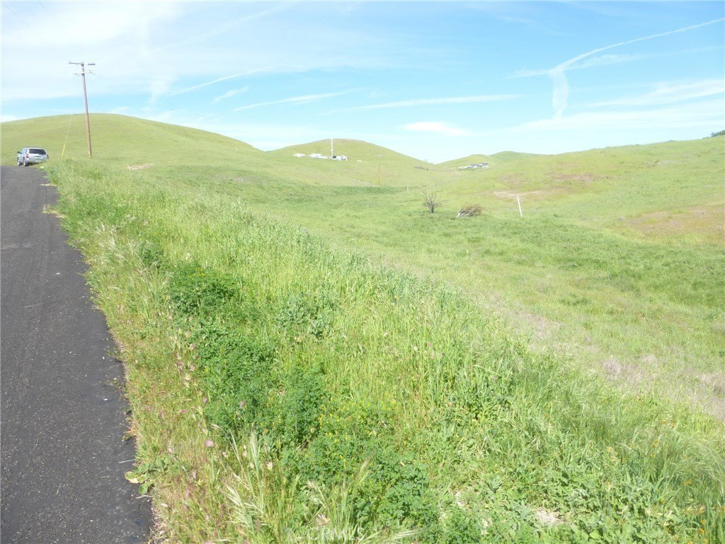 Picture 25