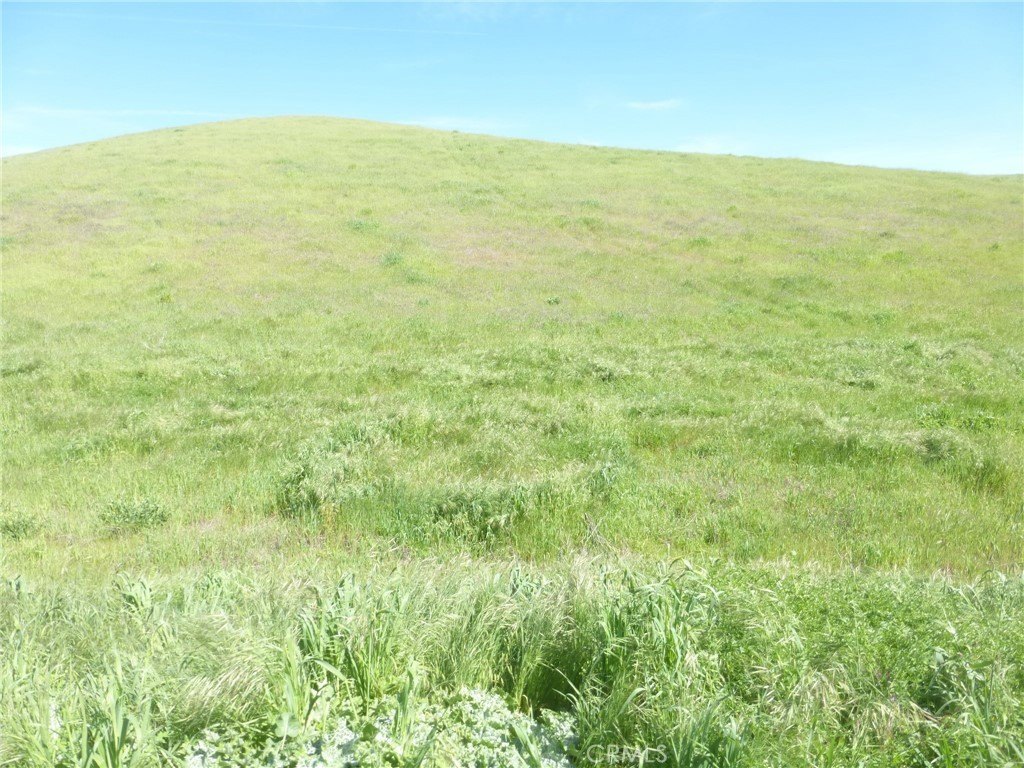 Picture 38