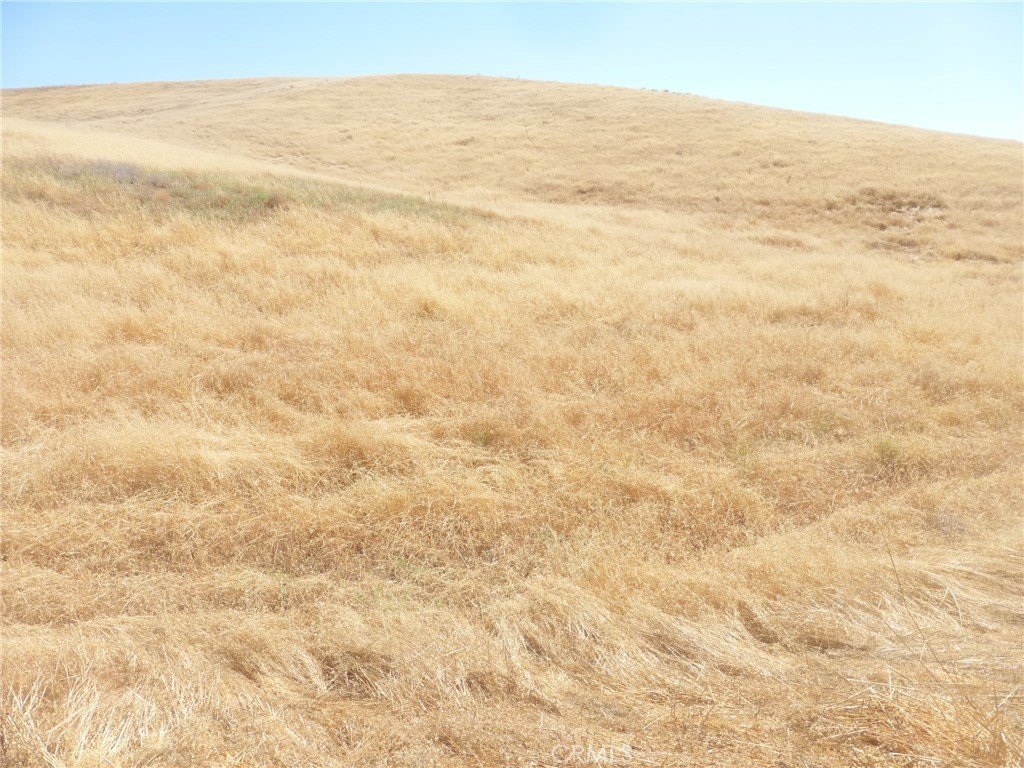 Picture 68