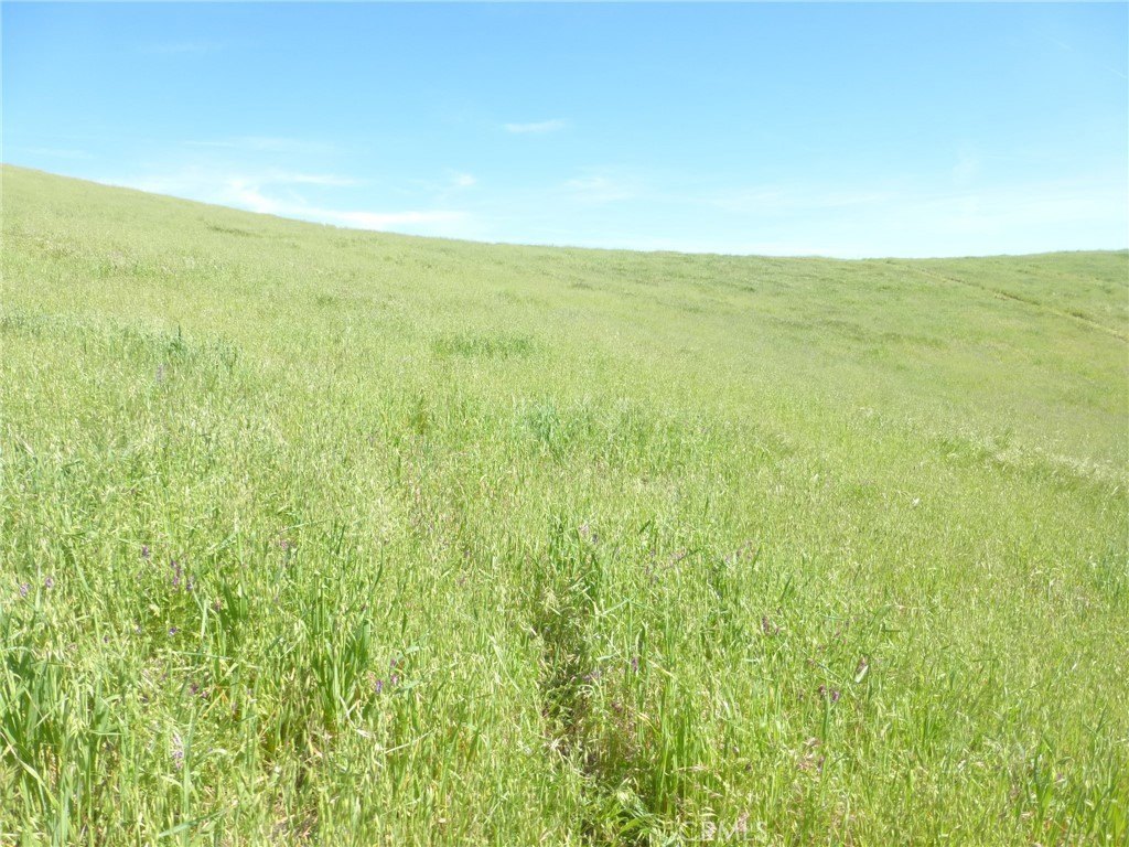 Picture 30