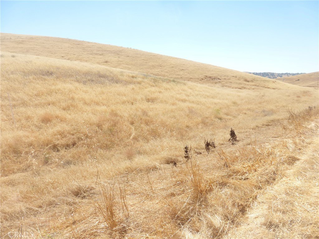Picture 64