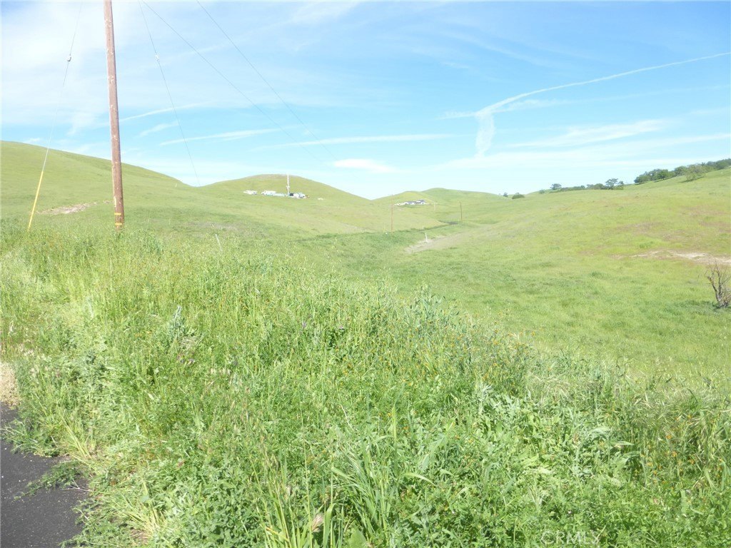 Picture 26