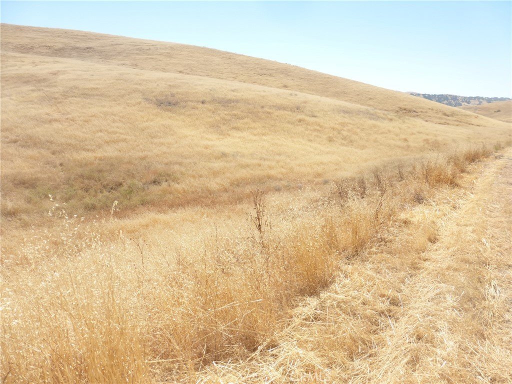 Picture 47