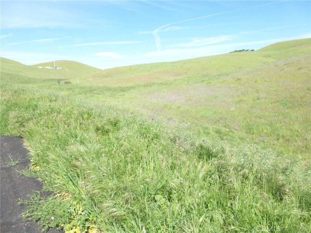 Picture 20