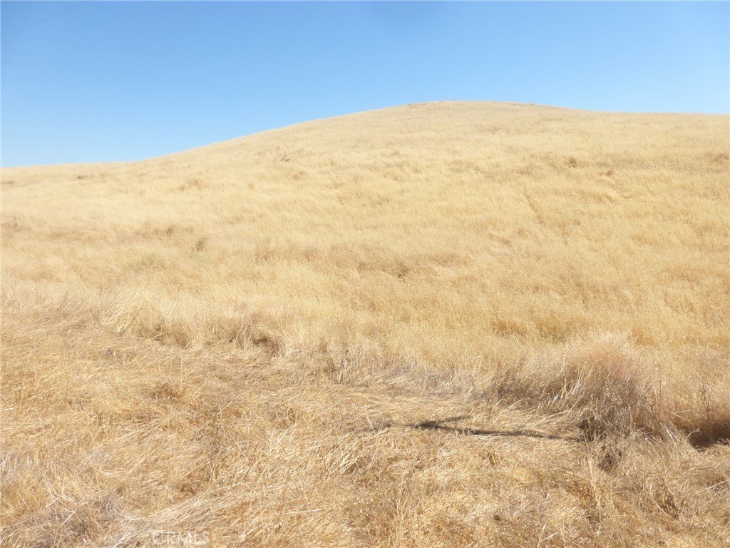 Picture 60