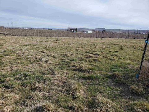Outlook, WA 4.86 Acre Land