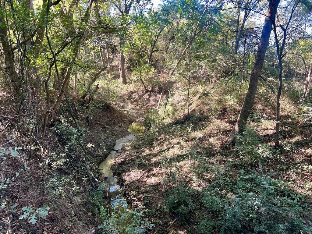 Picture 36