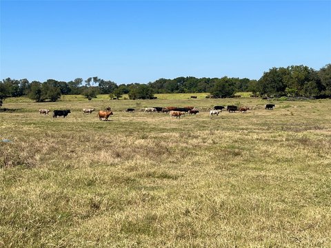 Texas Ranch and Farmland Estate