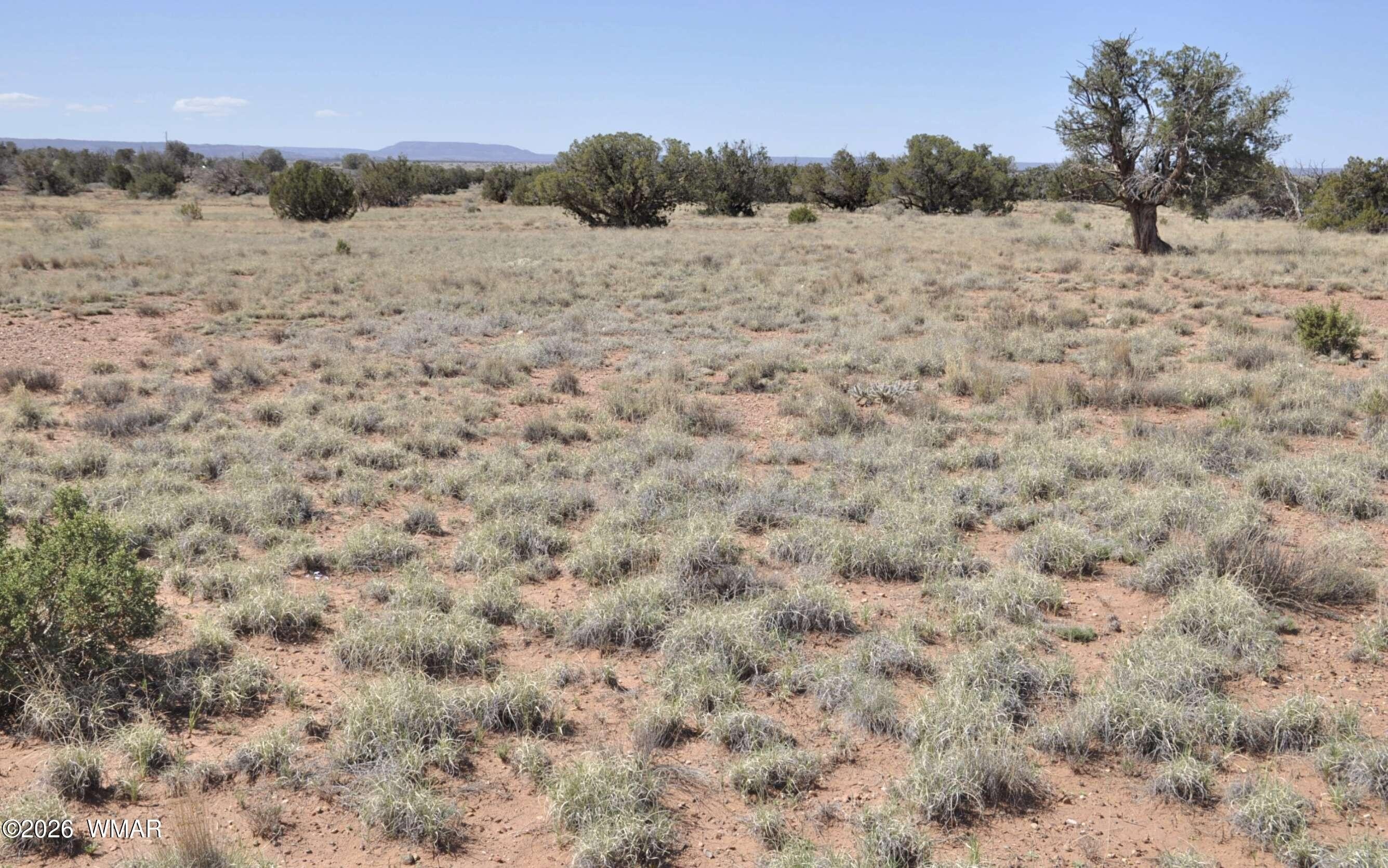 Concho Land with Power Access