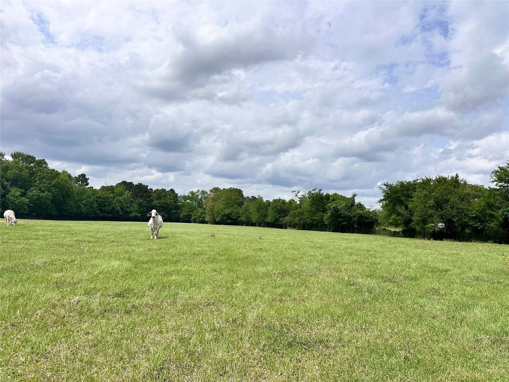 Picture 19