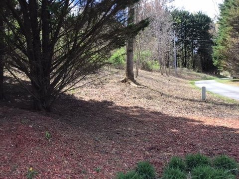 Hayesville, NC Vacant Lot