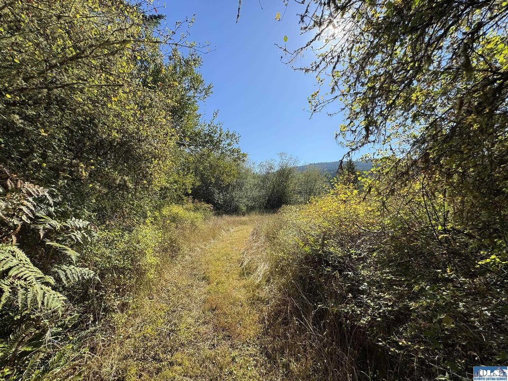Picture 23